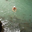 ���� �������, ������������ - ��������� 19 ���� 2014 � ������ ���� ����������