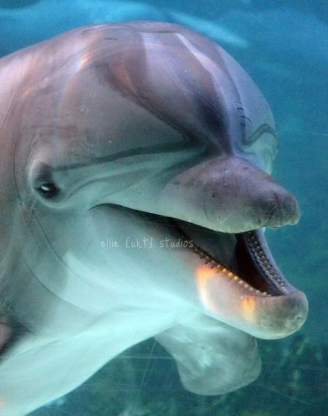 Напоминайте себе почаще, что цель жизни вовсе не в том, чтобы выполнить все намеченное, а в том, ... - 2