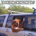 ���� �������, ������� - ��������� 8 ���� 2014 � ������ ������ ��������