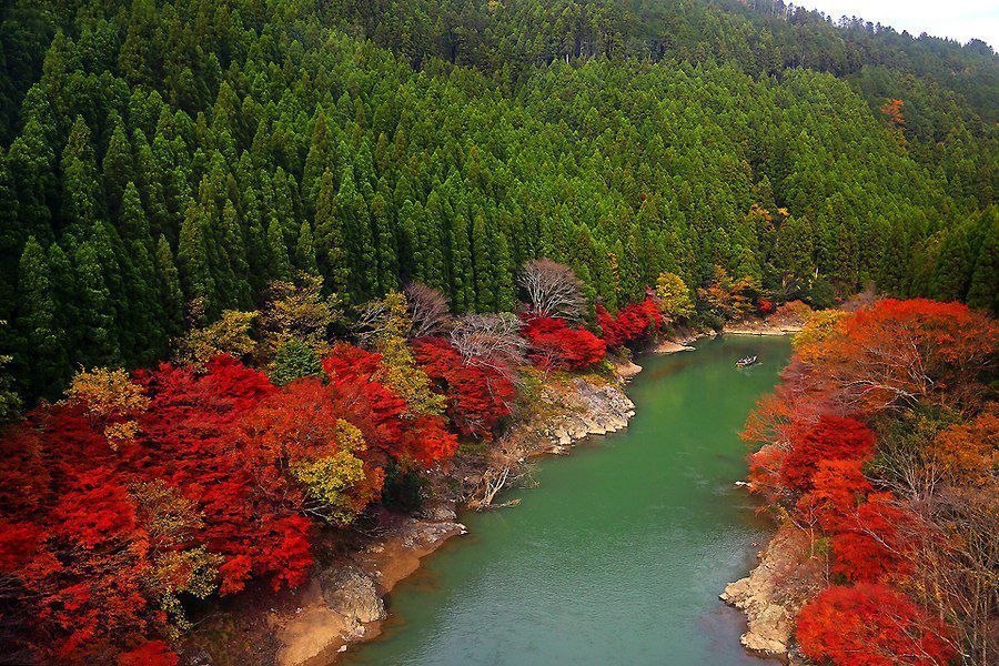 Arashiyama, , .