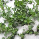 ���� Ta����, ������� - ��������� 30 ����� 2014 � ������ ������ ��������