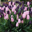 ���� ������, ������, 59 ��� - ��������� 18 ����� 2014 � ������ ������ ��������