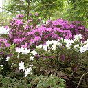 ���� ������, �����-���������, 64 ���� - ��������� 15 ������ 2014 � ������ ���������