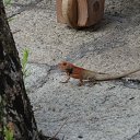 �������� ������ ����� �������� �� ������� ���� ����������