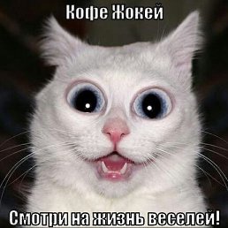 ���� �����, �����-���������, 24 ���� - ��������� 15 ���� 2014