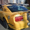 ���� �������, ���������, 40 ��� - ��������� 5 ������� 2014 � ������ ���� ����������