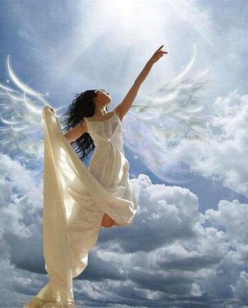    ,   ,  ,  . Ÿ  .    ...