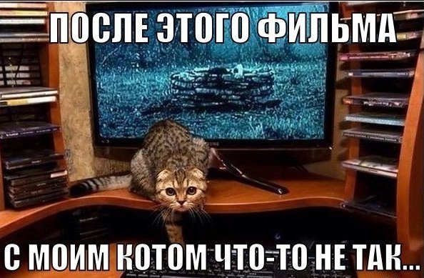   - 14  2014  19:40