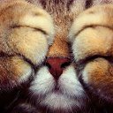 ���� ��������, �������, 51 ��� - ��������� 12 ���� 2014 � ������ ������ ��������