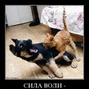 ���� Vlad, �������, 47 ��� - ��������� 14 ������ 2014 � ������ ���� ����������