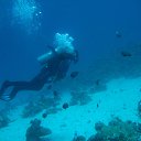 ���� �������, ������, 47 ��� - ��������� 23 ���� 2014