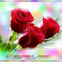 ���� ����, ���, 72 ���� - ��������� 27 ���� 2014 � ������ ������ ��������