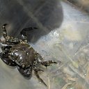 ���� �������, �����������, 53 ���� - ��������� 29 ���� 2014 � ������ ����