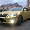 ���� ������, ������������, 36 ��� - ��������� 29 ��� 2014 � ������ ������ �������� ���λ
