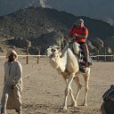 ���� ������, ����� �������, 51 ��� - ��������� 31 ���� 2014 � ������ ���� ����������