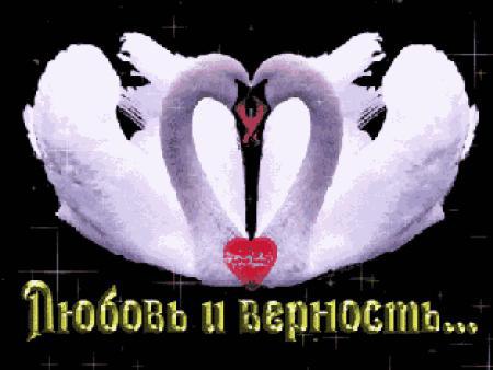 Andrei - 5  2014  18:35