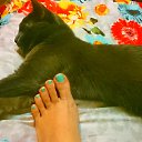 ���� ���������, ������, 44 ���� - ��������� 22 ����� 2014 � ������ �SUSANNA�