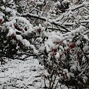 ���� ������, �����������, 42 ���� - ��������� 18 ���� 2014 � ������ ��������