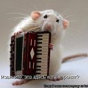 ���� ����, ������� - ��������� 20 ������ 2014 � ������ ������ ��������