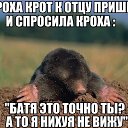 ���� ���, ������-��� - ��������� 28 ������ 2014 � ������ ������ ��������