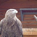 ���� ������, ������, 63 ���� - ��������� 11 ���� 2014 � ������ �������