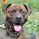 ���� ��������, �������������� - ��������� 3 ������ 2014