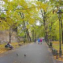 ���� ���������, ��������� - ��������� 17 ������ 2014 � ������ ���� ����������