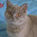 ���� �����, ������ - ��������� 12 ������� 2014