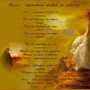 ���� ����, �������, 41 ��� - ��������� 11 ��� 2014 � ������ ������ ��������