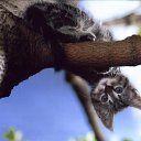 ���� �����, ����������, 58 ��� - ��������� 6 ��� 2014 � ������ ������ ��������