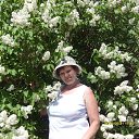 ���� �������, ���������, 69 ��� - ��������� 20 ������� 2014