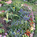 ���� ����������, ����������� - ��������� 24 ������ 2014 � ������ ������ 2014 ��Ļ