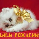 ���� �������, ������������, 76 ��� - ��������� 15 ������ 2014 � ������ ���� ����������
