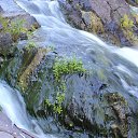 ���� ���������, ������, 55 ��� - ��������� 16 ���� 2014 � ������ ��������� ������