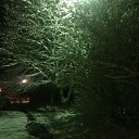 ���� �������, ������, 51 ��� - ��������� 29 ����� 2014 � ������ ������...����... 30....�