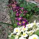 ���� �������, ������, 58 ��� - ��������� 20 ������ 2014 � ������ ��������