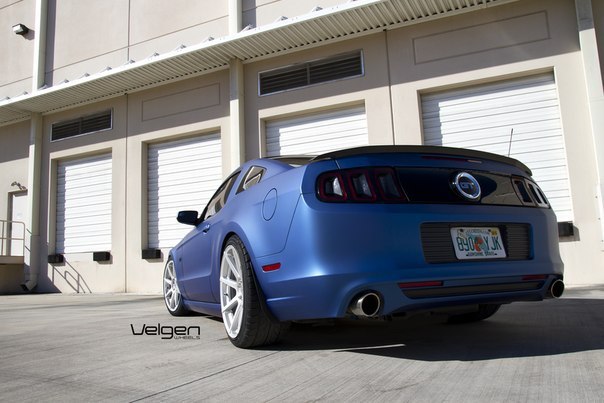 Matte Blue Ford Mustang 5.0 - 7