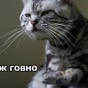���� ������� ���������, ������ - ��������� 27 ������ 2014 � ������ ������ ��������