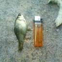 ���� ����, ���������, 42 ���� - ��������� 23 ���� 2014 � ������ ������ ��������