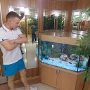 ���� ����, ������ ��������, 35 ��� - ��������� 10 ���� 2014 � ������ ���� ����������