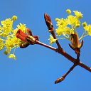 ���� �����, �����, 64 ���� - ��������� 24 ������ 2014 � ������ ������ � �����!�