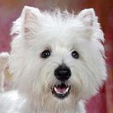 ���� ==Elena==, ������� - ��������� 23 ����� 2014 � ������ ���� ����������