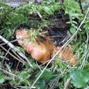 ���� �����, ������ - ��������� 7 ���� 2014 � ������ ���� ����������