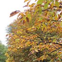 ���� �������, ������, 78 ��� - ��������� 27 ������ 2014 � ������ ������ ��������