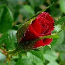 � ����� �������� ���� vk.com/fotiko �� ������� ��������� ���� � fotiko.ru�