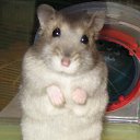 ���� ������, �����-��������� - ��������� 8 ���� 2014 � ������ ���� ����������