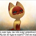 ���� Nik, ���������, 46 ��� - ��������� 31 ���� 2014 � ������ ������ ��������