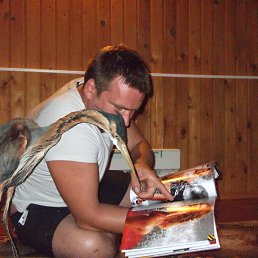 ���� �������, �����, 42 ���� - ��������� 26 ����� 2014