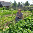 ���� ����, ���������, 63 ���� - ��������� 21 ���� 2014 � ������ �߻