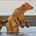 ���� �������, ������, 51 ��� - ��������� 20 ����� 2014 � ������ ��������